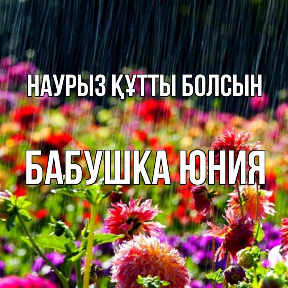 Открытка на каждый день с именем, Бабушка-Юния Наурыз құтты болсын цветы под дождиком к наурызу Прикольная открытка с пожеланием онлайн скачать бесплатно 