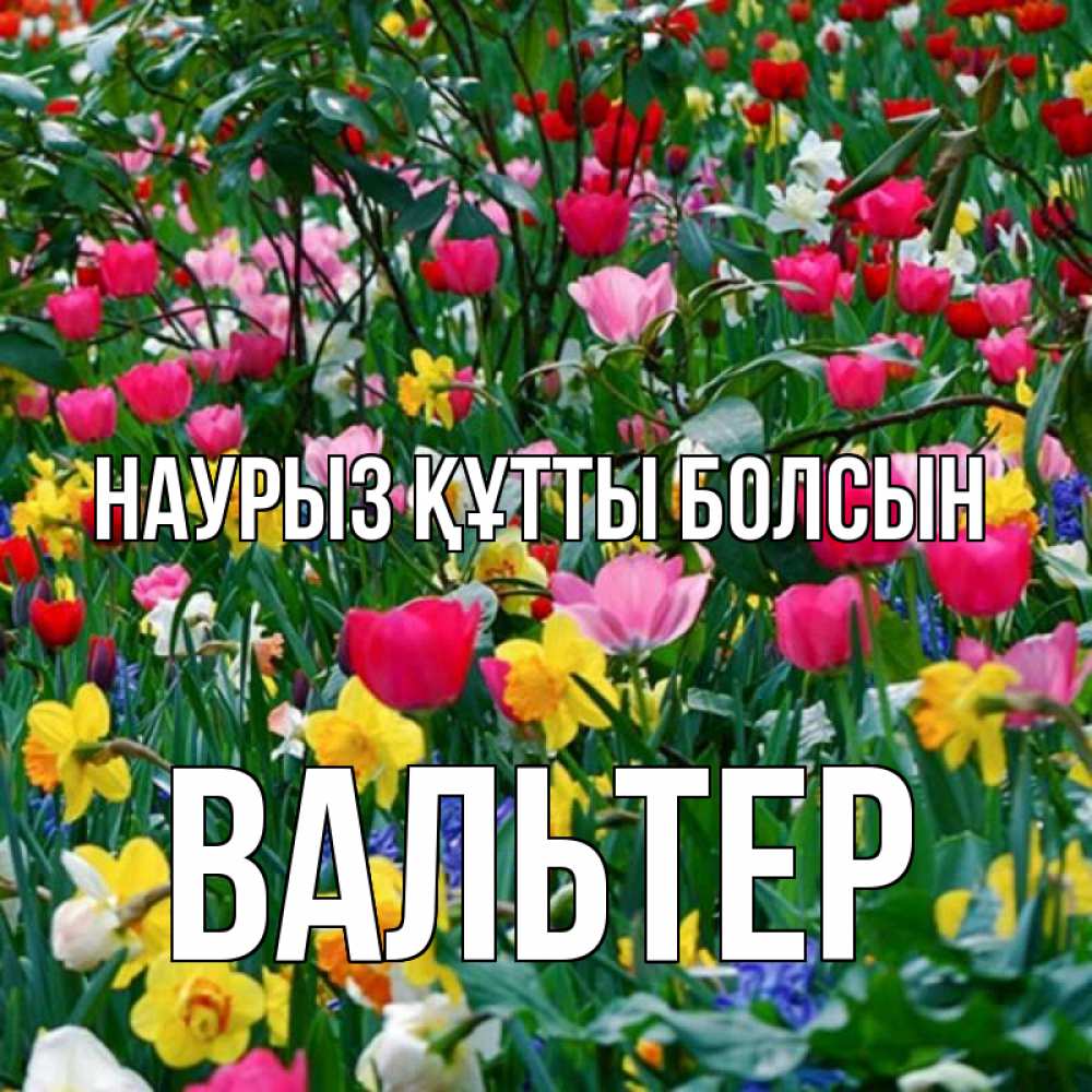 Открытка на каждый день с именем, Вальтер Наурыз құтты болсын с наурызом поздравления для женщины Прикольная открытка с пожеланием онлайн скачать бесплатно 