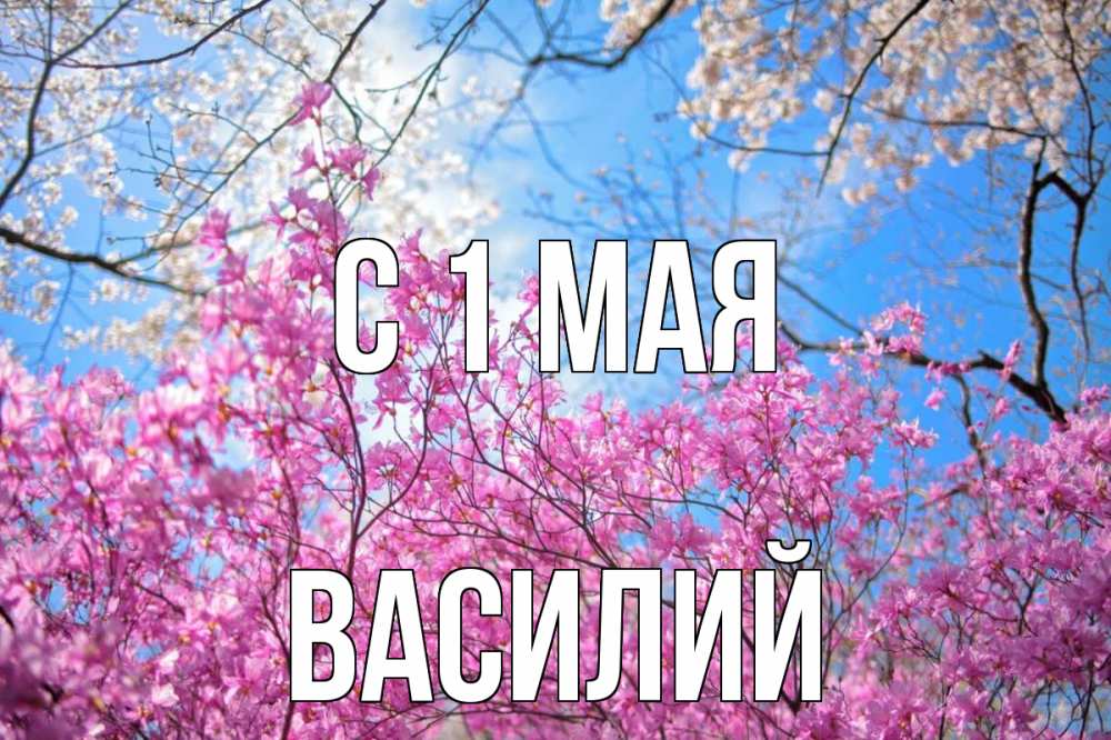 Открытка на каждый день с именем, Василий С 1 мая С 1 мая Прикольная открытка с пожеланием онлайн скачать бесплатно 