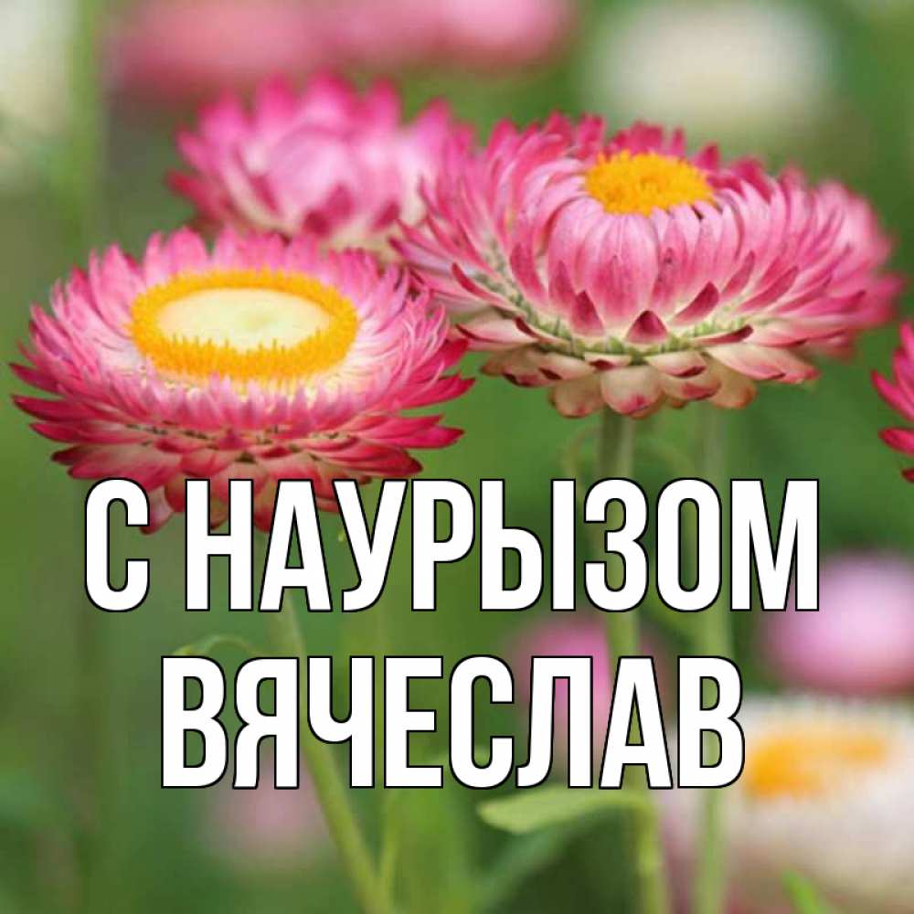 Открытка на каждый день с именем, Вячеслав С наурызом подарок на международный женский день Прикольная открытка с пожеланием онлайн скачать бесплатно 
