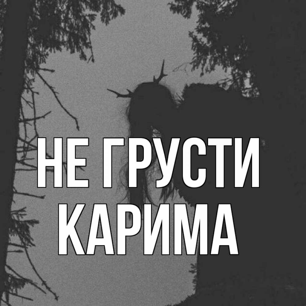 Открытка на каждый день с именем, Карима Не грусти чудище лесное Прикольная открытка с пожеланием онлайн скачать бесплатно 