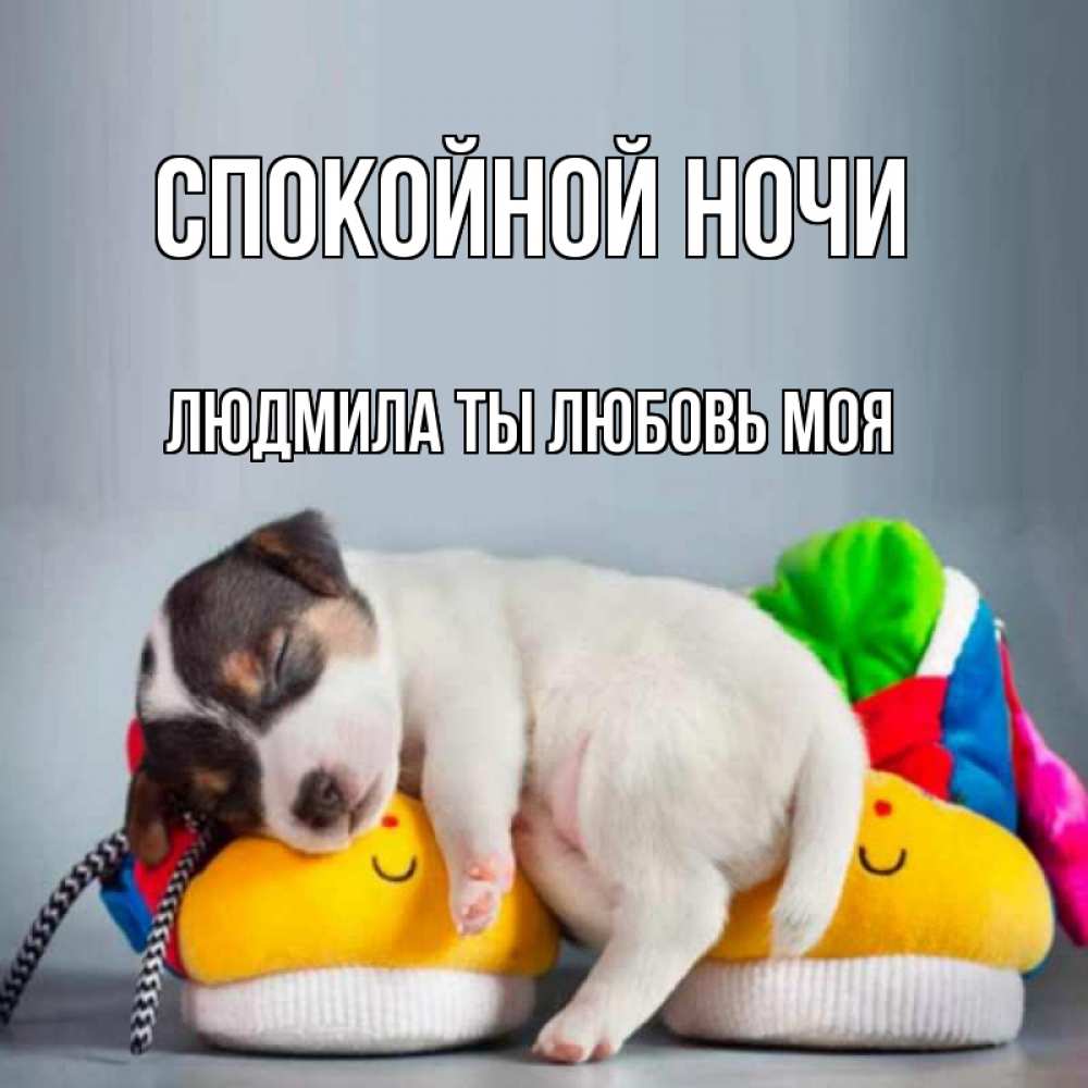 Картинка Спокойной ночи, Людмила ты любовь моя