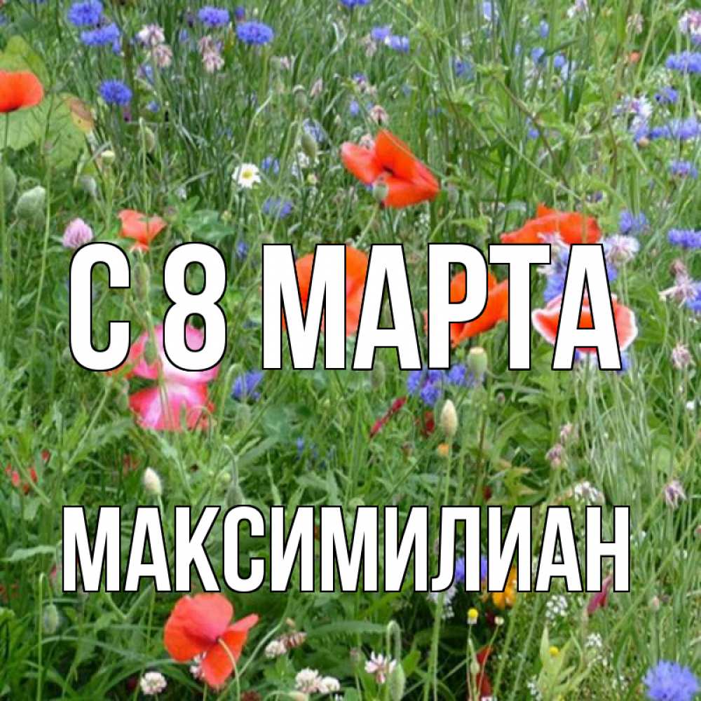Открытка на каждый день с именем, Максимилиан С 8 МАРТА международный женский день 4 Прикольная открытка с пожеланием онлайн скачать бесплатно 