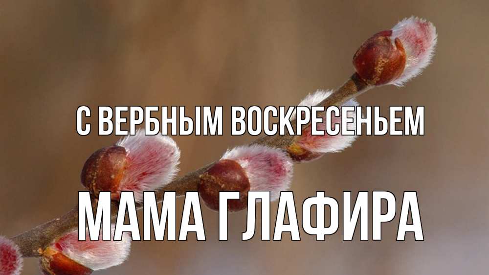 Открытка на каждый день с именем, Мама-Глафира С вербным воскресеньем верба Прикольная открытка с пожеланием онлайн скачать бесплатно 