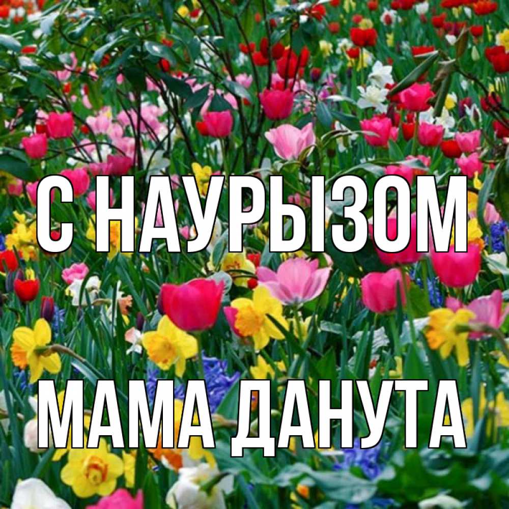 Открытка на каждый день с именем, Мама-Данута С наурызом с наурызом праздником весны поздравления для женщины Прикольная открытка с пожеланием онлайн скачать бесплатно 