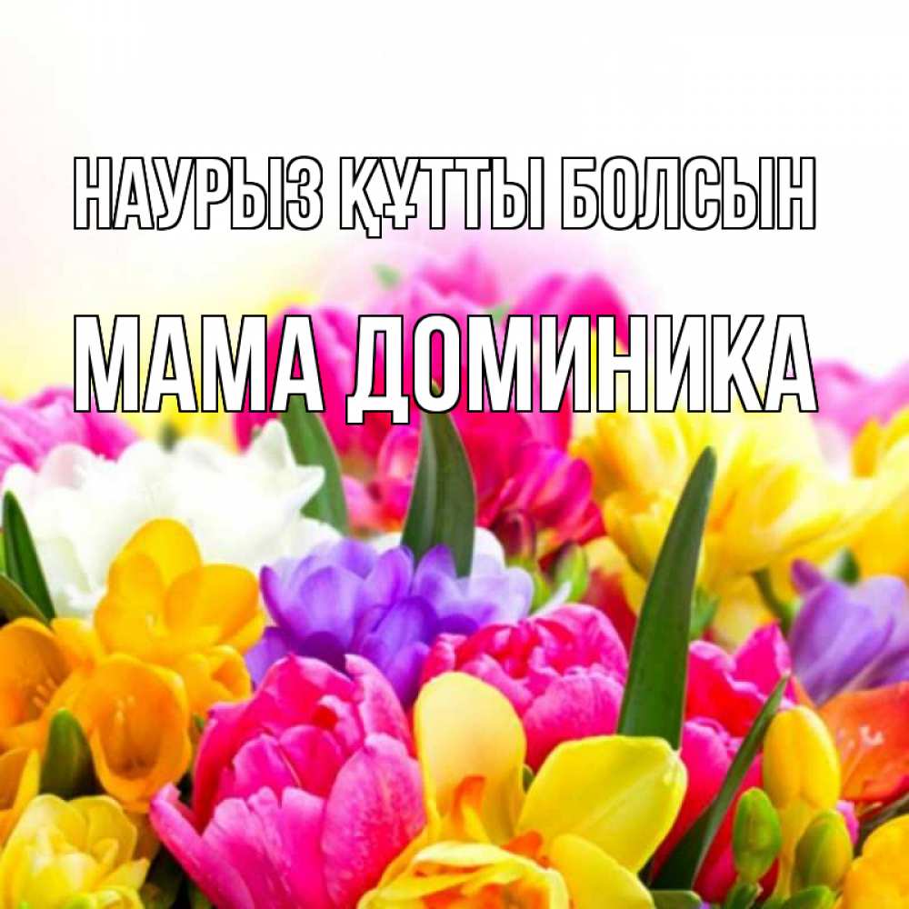 Открытка на каждый день с именем, Мама-Доминика Наурыз құтты болсын тюльпаны Прикольная открытка с пожеланием онлайн скачать бесплатно 