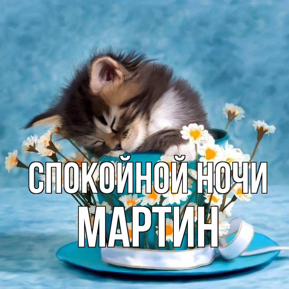 Открытка на каждый день с именем, Мартин Спокойной ночи котенок спит в кружке с блюдцем Прикольная открытка с пожеланием онлайн скачать бесплатно 