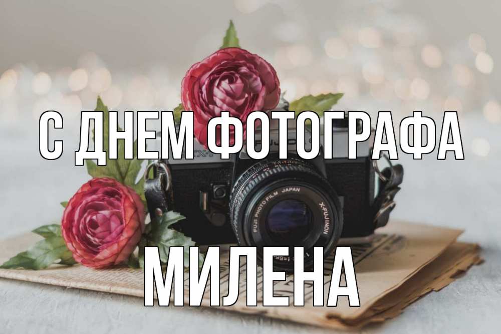 Открытка на каждый день с именем, Милена С днем фотографа с днем фотографа Прикольная открытка с пожеланием онлайн скачать бесплатно 