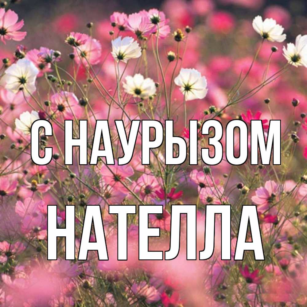 Открытка на каждый день с именем, Нателла С наурызом красиво 1 Прикольная открытка с пожеланием онлайн скачать бесплатно 