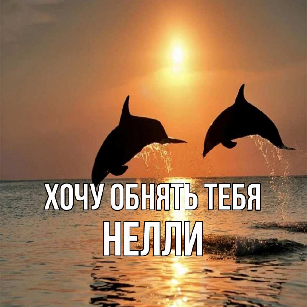 Открытка на каждый день с именем, Нелли Хочу обнять тебя рыбы на закате Прикольная открытка с пожеланием онлайн скачать бесплатно 