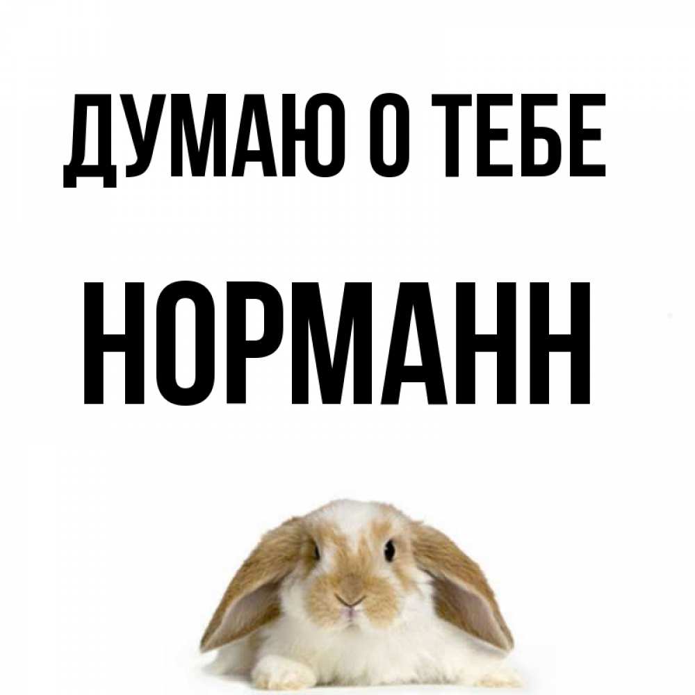 Открытка на каждый день с именем, Норманн Думаю о тебе подписать своими руками онлайн Прикольная открытка с пожеланием онлайн скачать бесплатно 