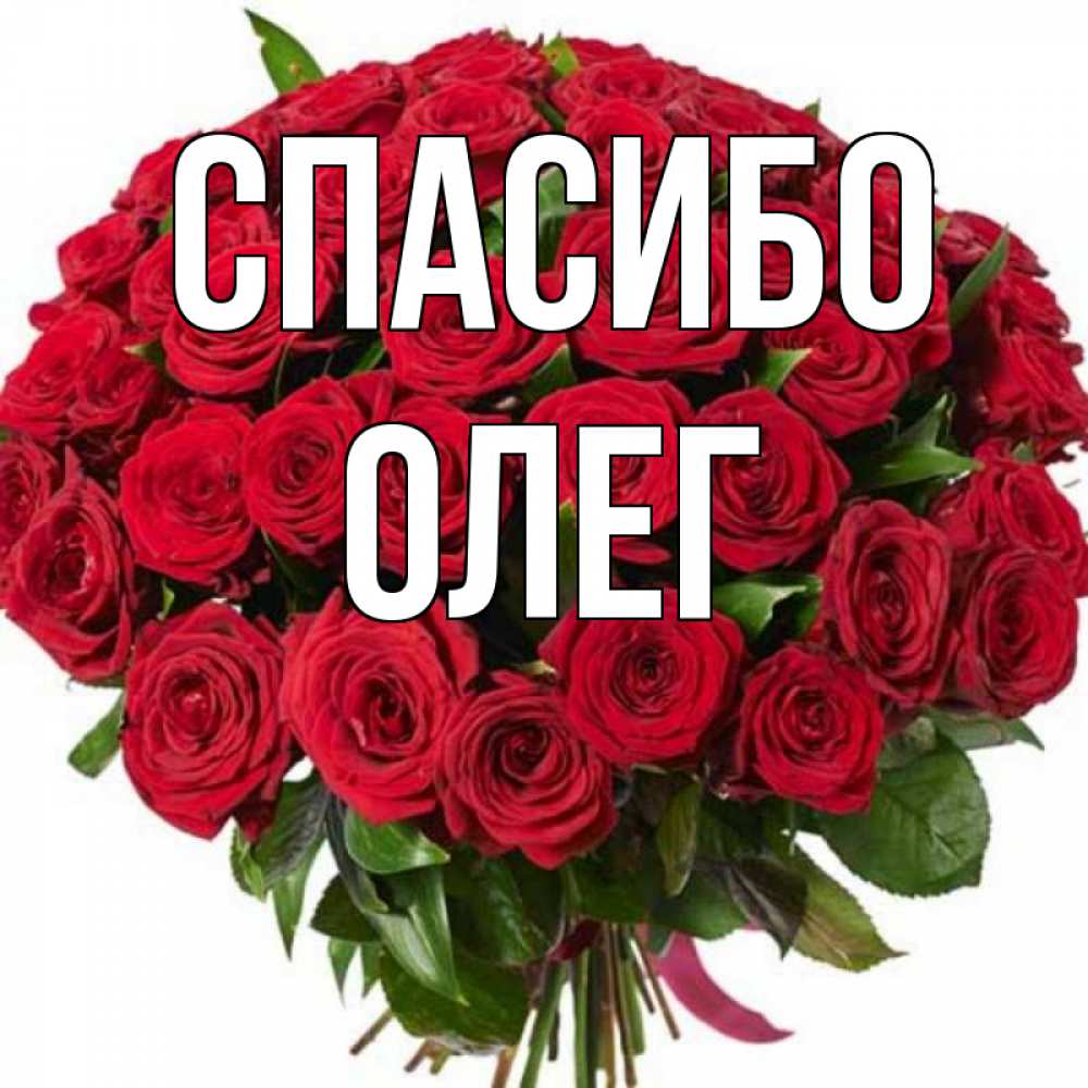 Открытка на каждый день с именем, Олег Спасибо букет красных роз Прикольная открытка с пожеланием онлайн скачать бесплатно 