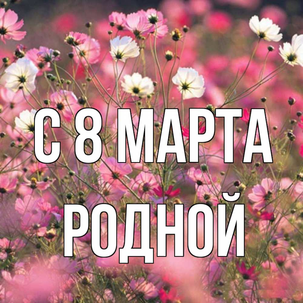 Открытка на каждый день с именем, Родной С 8 МАРТА красиво 1 Прикольная открытка с пожеланием онлайн скачать бесплатно 
