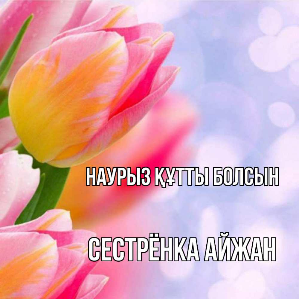 Открытка на каждый день с именем, Сестрёнка-Айжан Наурыз құтты болсын тюльпаны 2 Прикольная открытка с пожеланием онлайн скачать бесплатно 