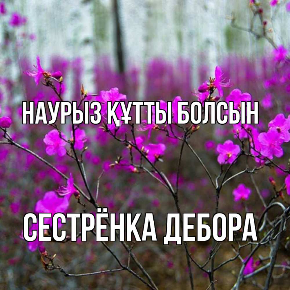 Открытка на каждый день с именем, Сестрёнка-Дебора Наурыз құтты болсын дикие цветы Прикольная открытка с пожеланием онлайн скачать бесплатно 