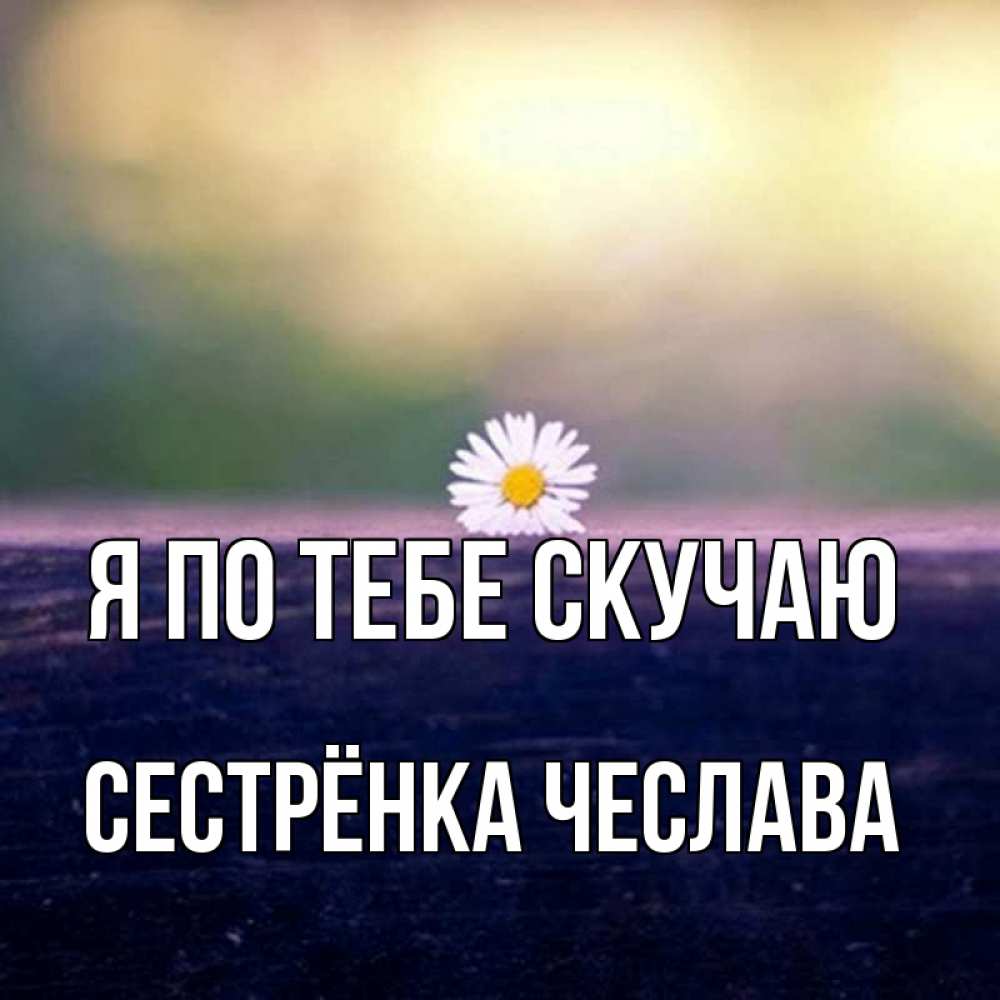 Открытка на каждый день с именем, Сестрёнка-Чеслава Я по тебе скучаю приходи в гости Прикольная открытка с пожеланием онлайн скачать бесплатно 