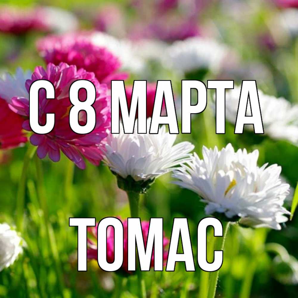 Открытка на каждый день с именем, Томас С 8 марта международный женский день 1 Прикольная открытка с пожеланием онлайн скачать бесплатно 