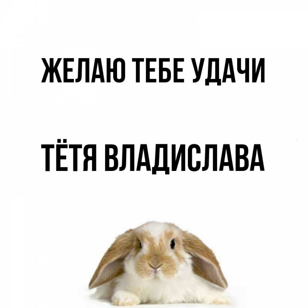 Открытка на каждый день с именем, Тётя-Владислава Желаю тебе удачи открытки с произвольным текстом который можно вставить в открытку и создать ее самостоятельно бесплатно онлайн Прикольная открытка с пожеланием онлайн скачать бесплатно 