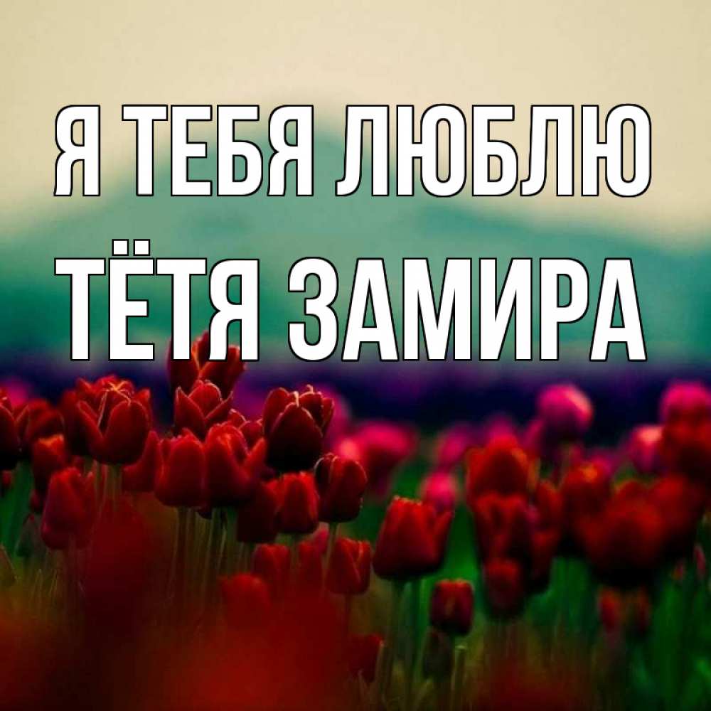 Открытка на каждый день с именем, Тётя-Замира Я тебя люблю тюльпаны 4 Прикольная открытка с пожеланием онлайн скачать бесплатно 