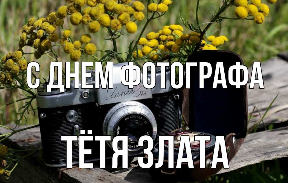 Открытка на каждый день с именем, Тётя-Злата С днем фотографа с днем фотографа Прикольная открытка с пожеланием онлайн скачать бесплатно 