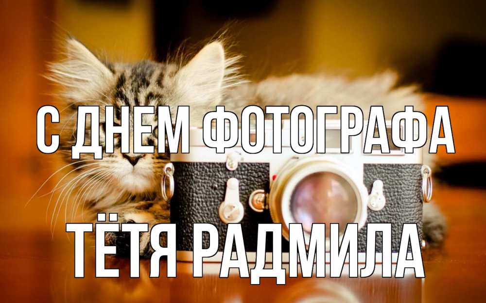 Открытка на каждый день с именем, Тётя-Радмила С днем фотографа с днем фотографа Прикольная открытка с пожеланием онлайн скачать бесплатно 