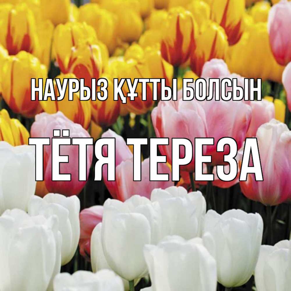 Открытка на каждый день с именем, Тётя-Тереза Наурыз құтты болсын разноцветные цветы Прикольная открытка с пожеланием онлайн скачать бесплатно 
