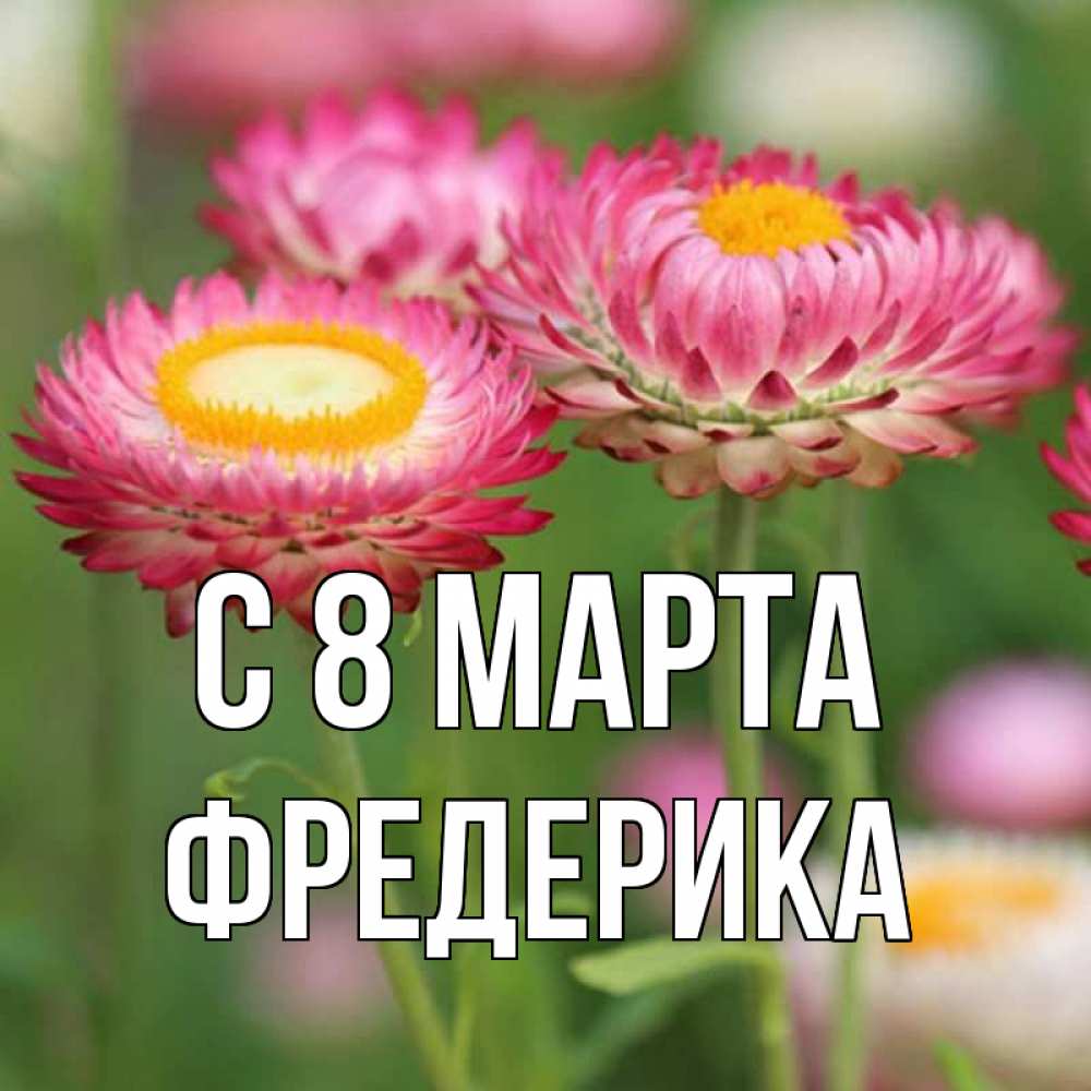 Открытка на каждый день с именем, Фредерика С 8 МАРТА подарок на международный женский день Прикольная открытка с пожеланием онлайн скачать бесплатно 