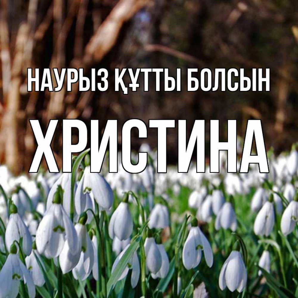 Открытка на каждый день с именем, Христина Наурыз құтты болсын с подснежниками 1 Прикольная открытка с пожеланием онлайн скачать бесплатно 