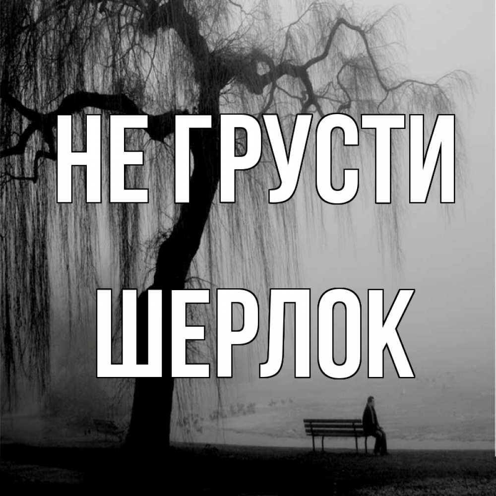 Открытка на каждый день с именем, Шерлок Не грусти висящие ветки дерева и лавочка под деревом Прикольная открытка с пожеланием онлайн скачать бесплатно 
