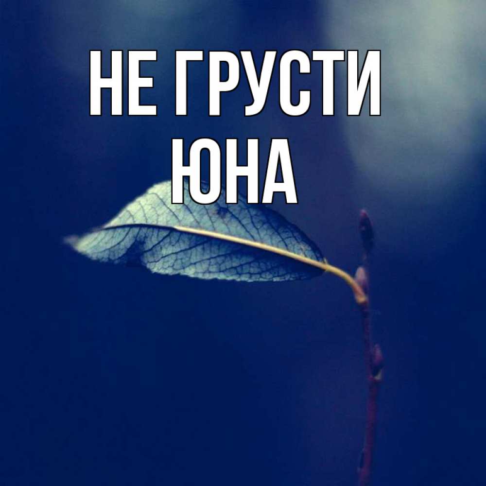 Открытка на каждый день с именем, Юна Не грусти растение Прикольная открытка с пожеланием онлайн скачать бесплатно 