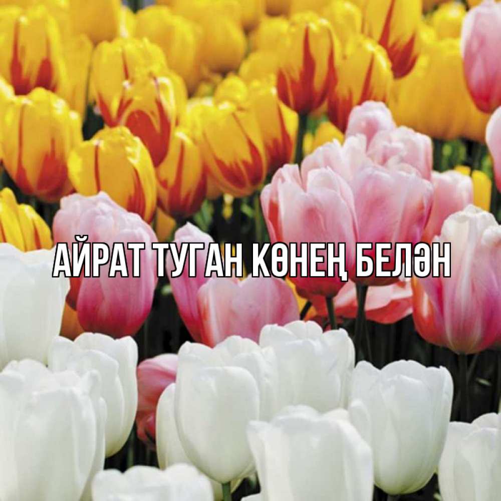 Открытка на каждый день с именем, Айрат-туган-көнең-белән Главная разноцветные цветы Прикольная открытка с пожеланием онлайн скачать бесплатно 