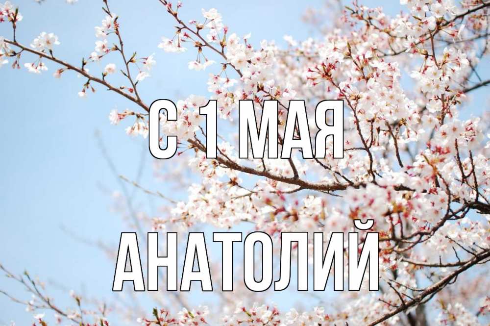 Открытка на каждый день с именем, Анатолий С 1 мая С 1 мая Прикольная открытка с пожеланием онлайн скачать бесплатно 