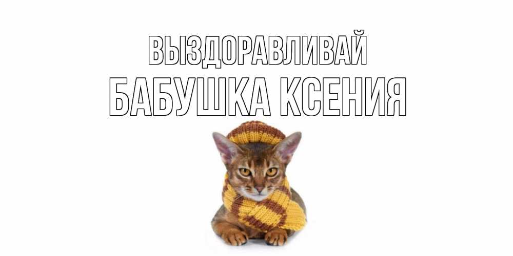 Открытка на каждый день с именем, Бабушка-Ксения Выздоравливай родные не болейте Прикольная открытка с пожеланием онлайн скачать бесплатно 