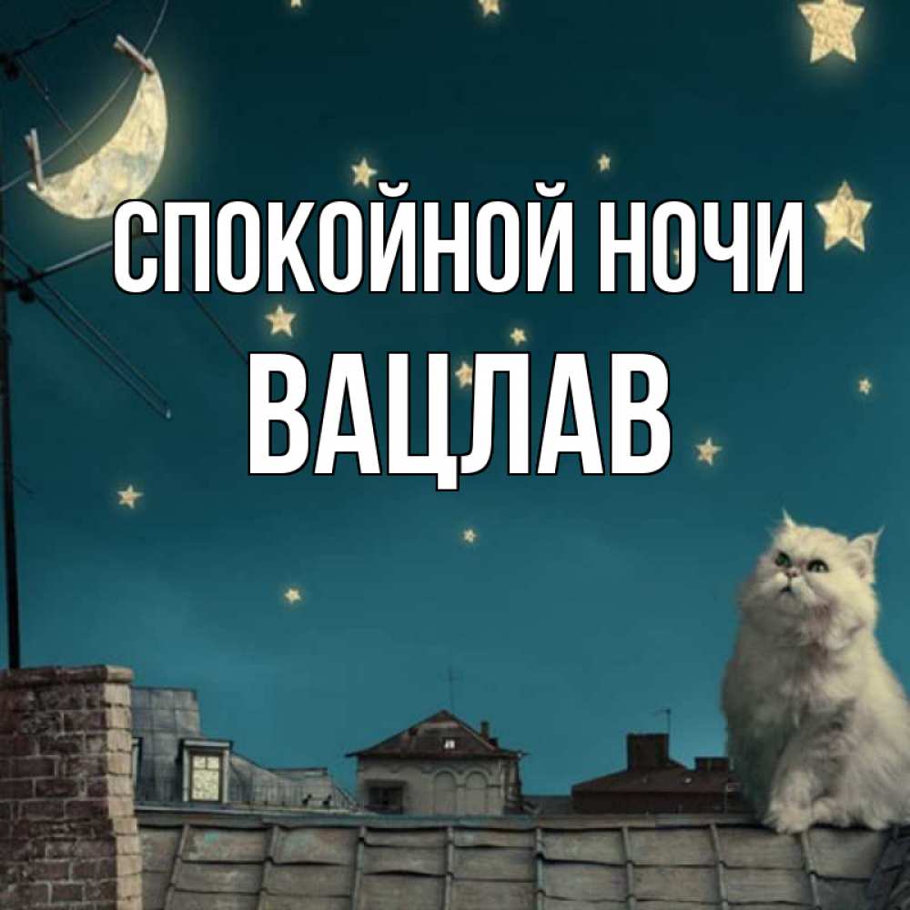 Открытка на каждый день с именем, Вацлав Спокойной ночи белый кот сидит на крыше Прикольная открытка с пожеланием онлайн скачать бесплатно 