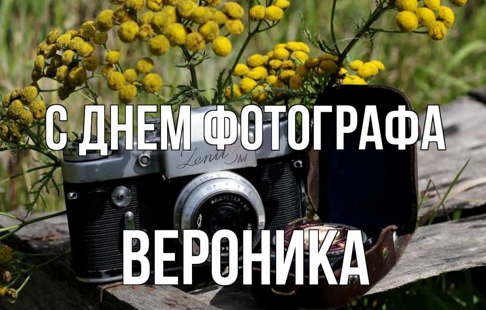 Открытка на каждый день с именем, Вероника С днем фотографа с днем фотографа Прикольная открытка с пожеланием онлайн скачать бесплатно 