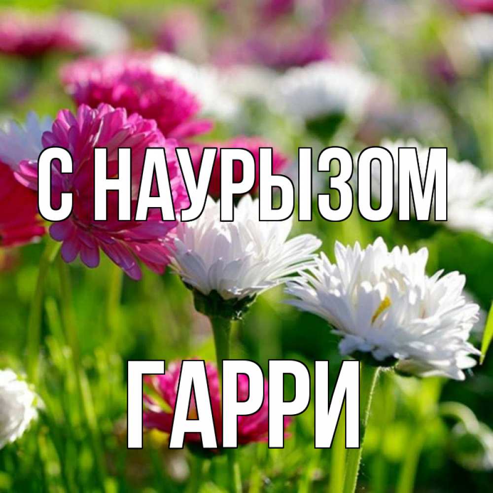 Открытка на каждый день с именем, Гарри С наурызом праздник весны наурыз красота Прикольная открытка с пожеланием онлайн скачать бесплатно 