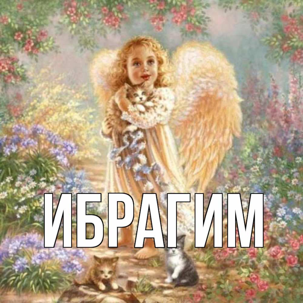 Открытка на каждый день с именем, Ибрагим Главная держит котенка Прикольная открытка с пожеланием онлайн скачать бесплатно 