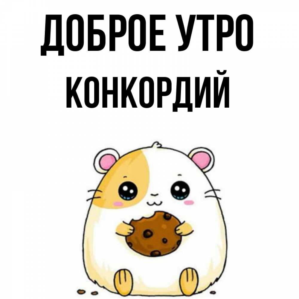 Открытка на каждый день с именем, Конкордий Доброе утро есть печеньку. Утречко Прикольная открытка с пожеланием онлайн скачать бесплатно 
