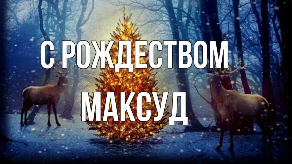 Открытка на каждый день с именем, Максуд С рождеством олени, новогодняя елка Прикольная открытка с пожеланием онлайн скачать бесплатно 