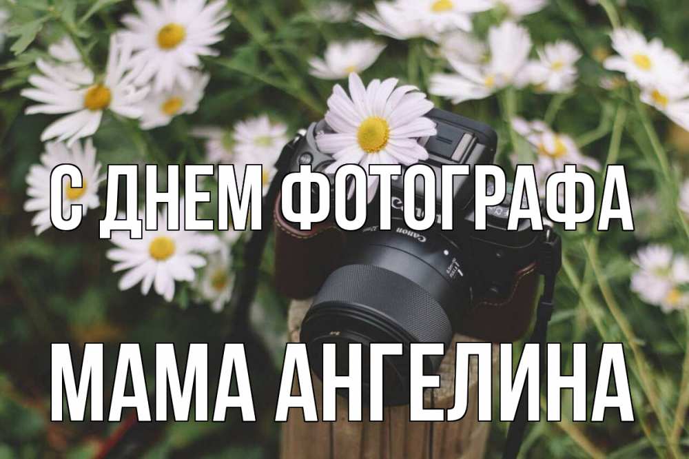 Открытка на каждый день с именем, Мама-Ангелина С днем фотографа с днем фотографа Прикольная открытка с пожеланием онлайн скачать бесплатно 