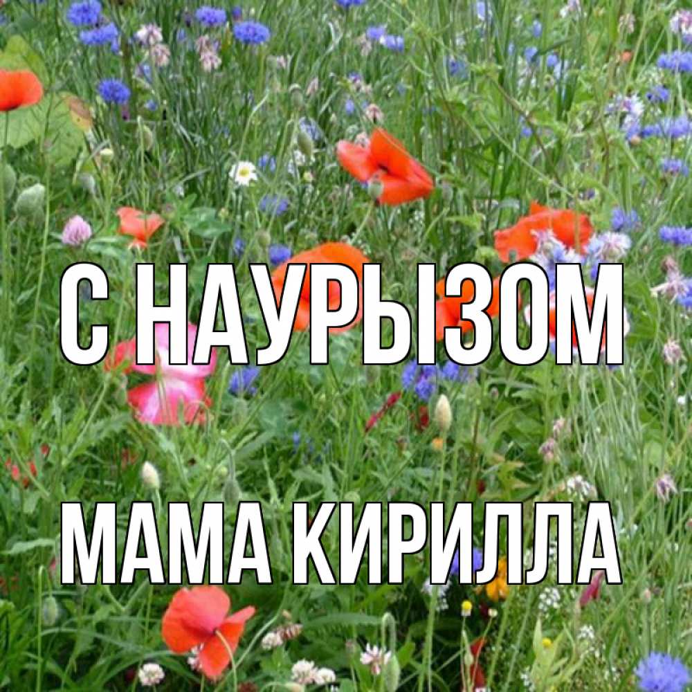 Открытка на каждый день с именем, Мама-Кирилла С наурызом праздник весны наурыз супер открытка Прикольная открытка с пожеланием онлайн скачать бесплатно 