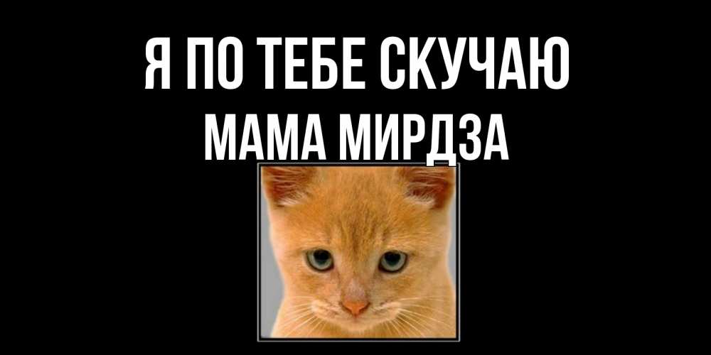 Открытка на каждый день с именем, Мама-Мирдза Я по тебе скучаю открытки рыжий котенок скучает по тебе Прикольная открытка с пожеланием онлайн скачать бесплатно 