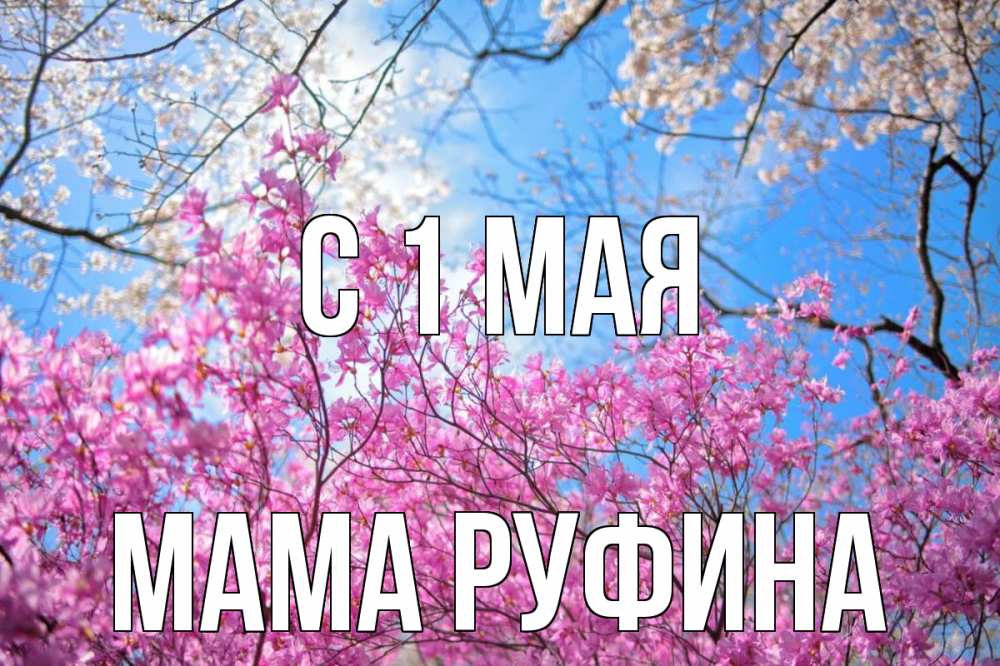 Открытка на каждый день с именем, Мама-Руфина С 1 мая С 1 мая Прикольная открытка с пожеланием онлайн скачать бесплатно 