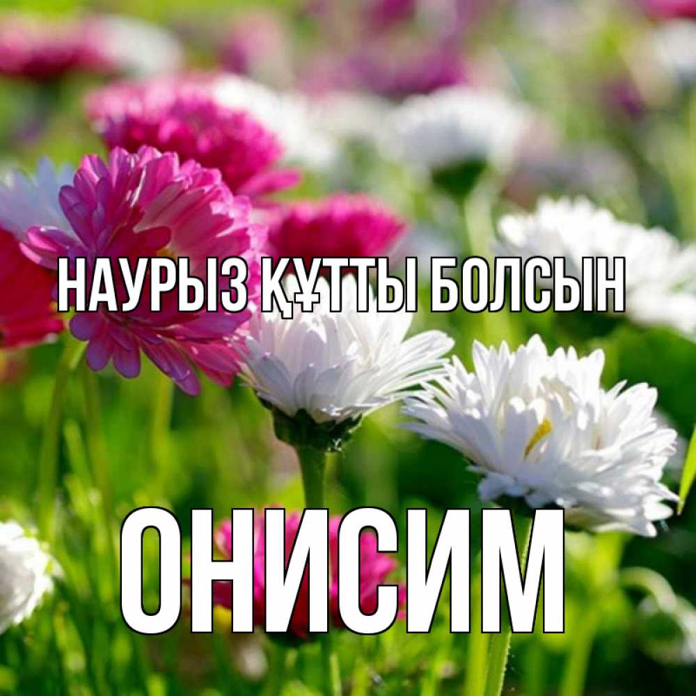 Открытка на каждый день с именем, Онисим Наурыз құтты болсын наурыз Прикольная открытка с пожеланием онлайн скачать бесплатно 