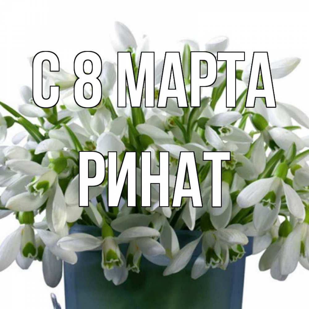 Открытка на каждый день с именем, Ринат С 8 МАРТА цветы к международному женскому дню Прикольная открытка с пожеланием онлайн скачать бесплатно 