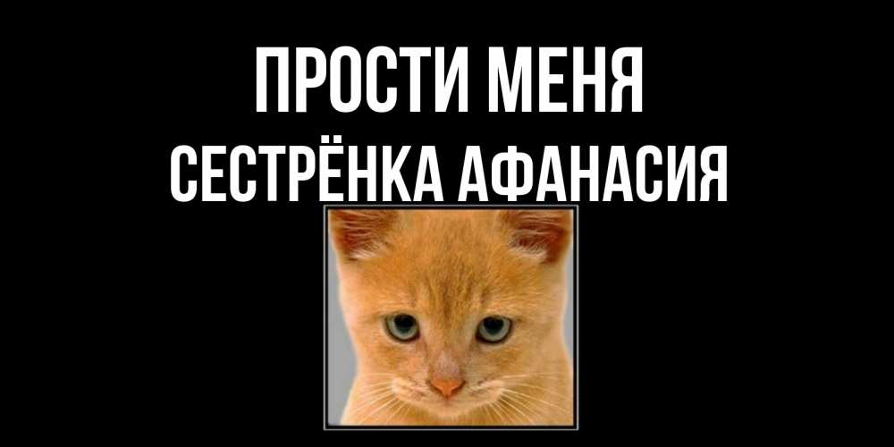 Открытка на каждый день с именем, Сестрёнка-Афанасия Прости меня рыжий грустный кот просит прощения Прикольная открытка с пожеланием онлайн скачать бесплатно 