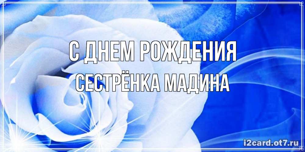 Открытка на каждый день с именем, Сестрёнка-Мадина С днем рождения белая роза на голубом фоне Прикольная открытка с пожеланием онлайн скачать бесплатно 