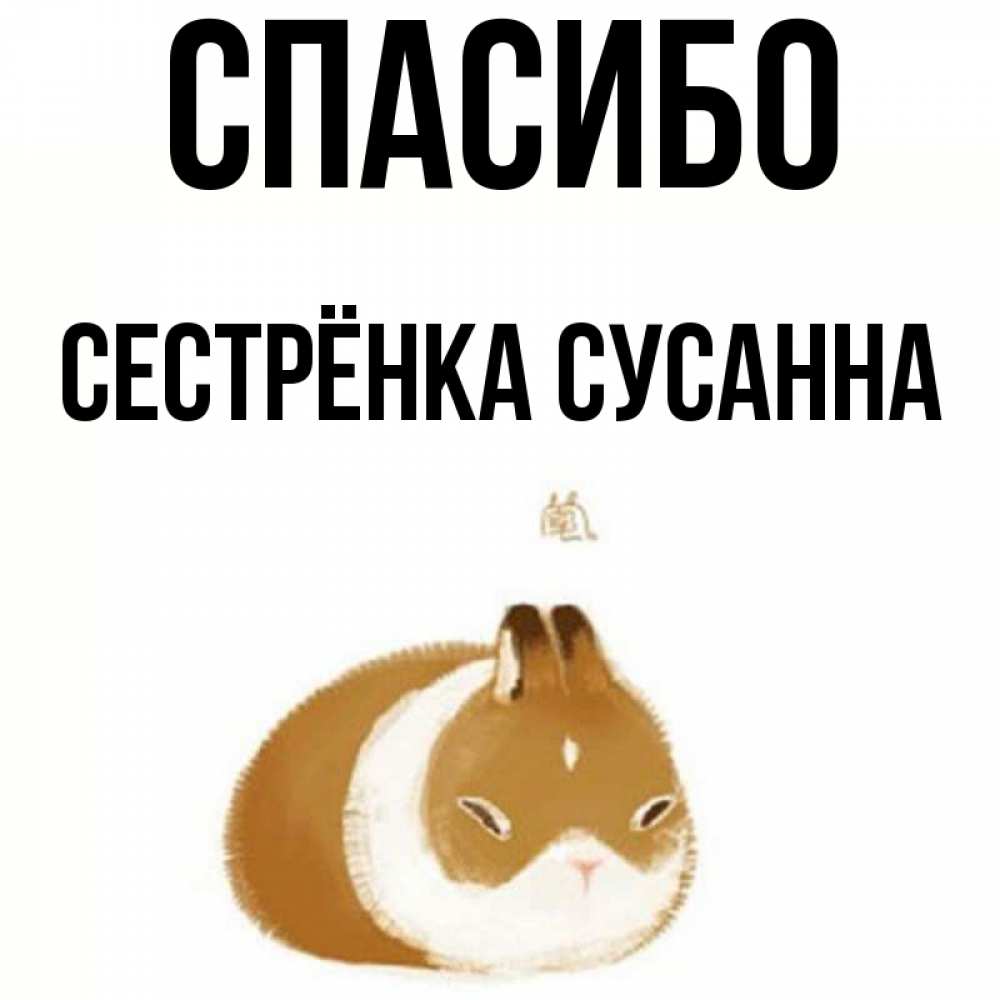 Открытка на каждый день с именем, Сестрёнка-Сусанна Спасибо коричнево белый домашний питомец Прикольная открытка с пожеланием онлайн скачать бесплатно 