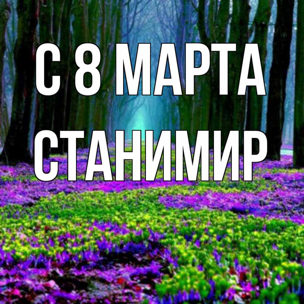 Открытка на каждый день с именем, Станимир С 8 МАРТА фиолетовые цветы в лесу 1 Прикольная открытка с пожеланием онлайн скачать бесплатно 