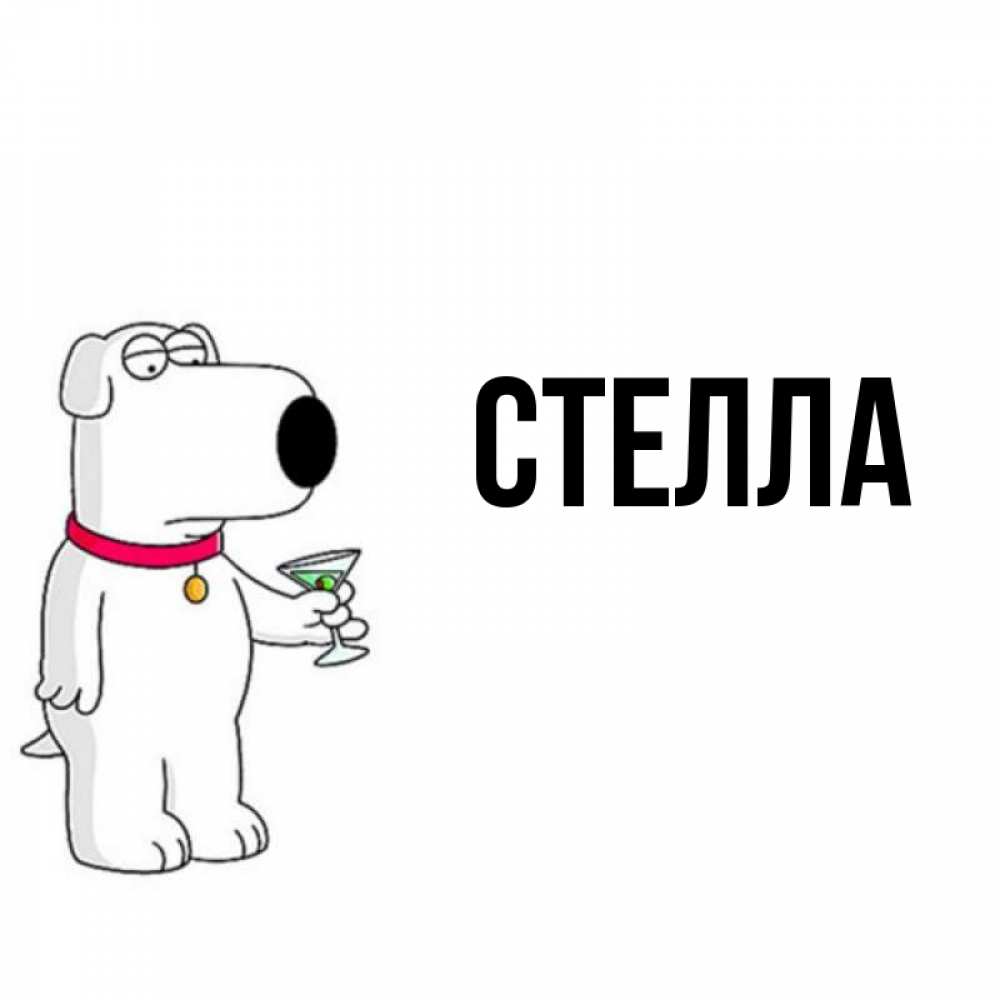 Открытка на каждый день с именем, Стелла Главная песик с оливками Прикольная открытка с пожеланием онлайн скачать бесплатно 